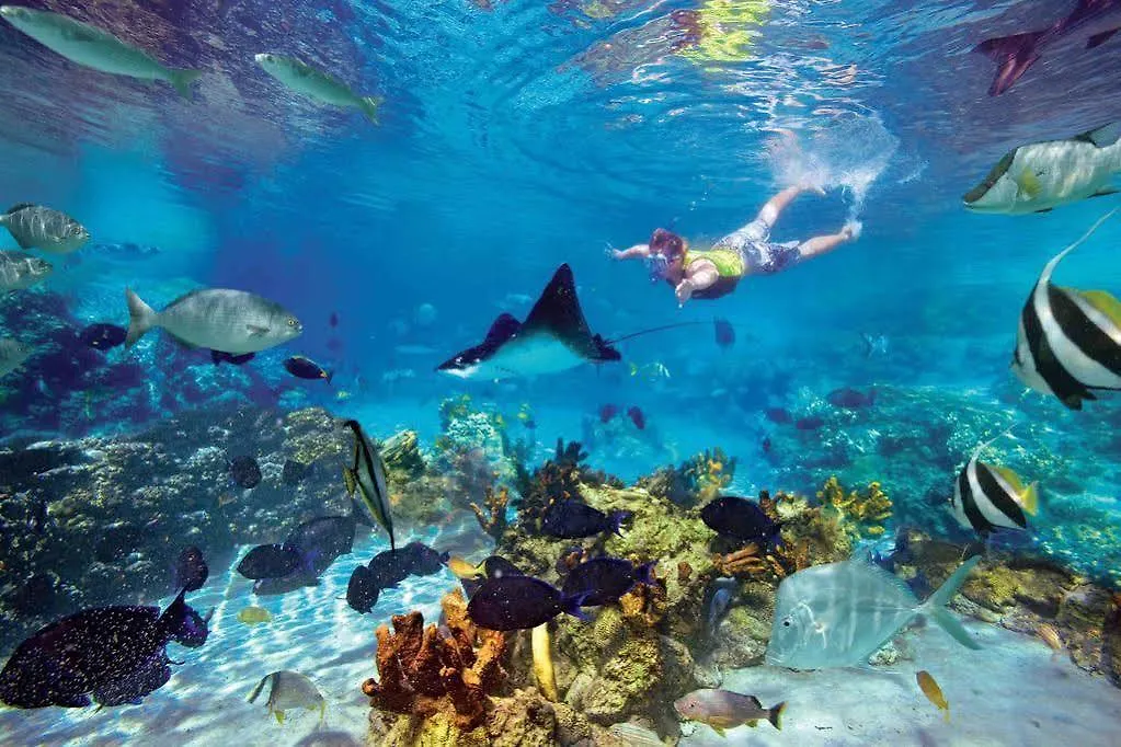 All Inclusive Arts Hotel - Cancun Beaches Zone (Adults Only)
